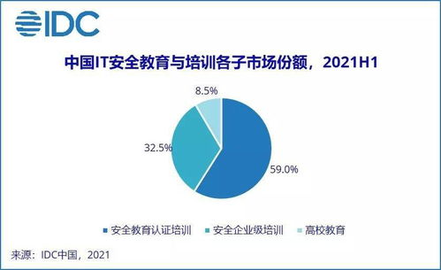 IDC報告揭示 2021上半年中國網絡安全服務市場迎爆發，網絡與信息安全軟件開發成核心引擎